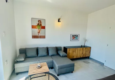Gecko Apartment