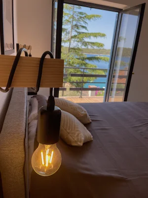 Gecko Apartment